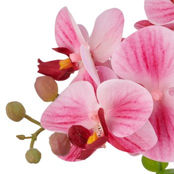 Phalaenopsis x6, 40cm, rosa, im weißen Melamintopf 9x9cm, Real Touch