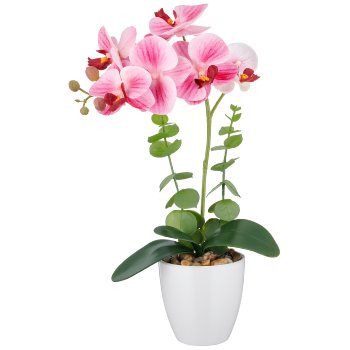 Phalaenopsis x6, 40cm, rosa, im weißen Melamintopf 9x9cm, Real Touch