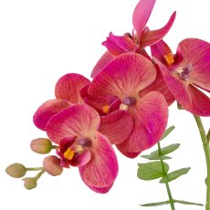 Phalaenopsis x6, 40cm, pink-beige, in white melamine pot 9x9cm, Real Touch
