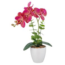 Phalaenopsis x6, 40cm, pink-beige, im weißen Melamintopf 9x9cm, Real Touch
