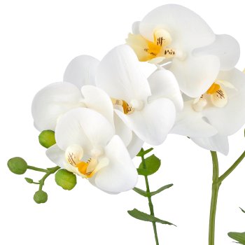 Phalaenopsis x6, 40cm, white, in white melamine pot 9x9cm, Real Touch