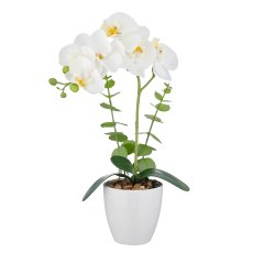 Phalaenopsis x6, 40cm, weiß, im weißen Melamintopf 9x9cm, Real Touch