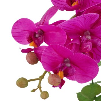 Phalaenopsis x6, 40cm, purple, in white melamine pot 9x9cm, Real Touch