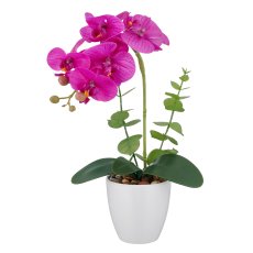 Phalaenopsis x6, 40cm, lila, im weißen Melamintopf 9x9cm, Real Touch