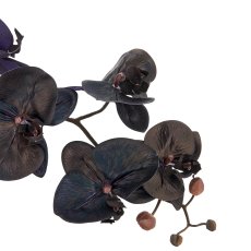 Phalaenopsis x6, 100cm, black, Real Touch, in plastic pot 22x19.5cm with soil