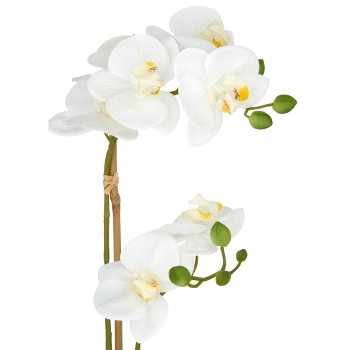 Phalaenopsis x2, 50cm, white, in white ceramic pot 9x11cm, Real Touch
