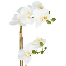 Phalaenopsis x2, 50cm, white, in white ceramic pot 9x11cm, Real Touch