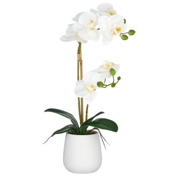 Phalaenopsis x2, 50cm, white, in white ceramic pot 9x11cm, Real Touch
