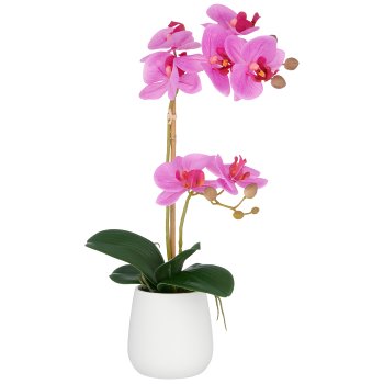 Phalaenopsis x2, 50cm, lila, im weißen Keramiktopf 9x11cm, Real Touch