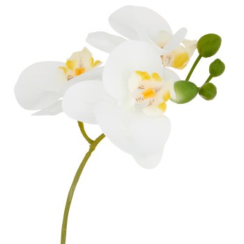 Phalaenopsis, 28cm, weiß, in Keramikschale 10x4cm silber, Real Touch
