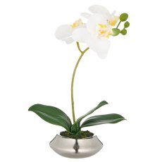 Phalaenopsis, 28cm, weiß, in Keramikschale 10x4cm silber, Real Touch