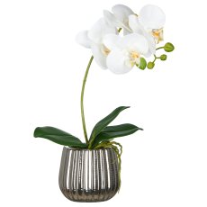 Phalaenopsis, 36cm, weiß, im Keramiktopf 8x9cm silber, Real Touch