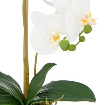 Phalaenopsis x2, 48cm, white, in ceramic pot 10.5x10cm silver, Real Touch