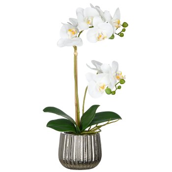 Phalaenopsis x2, 48cm, white, in ceramic pot 10.5x10cm silver, Real Touch