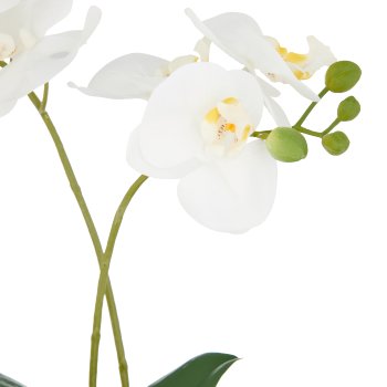Phalaenopsis x2, 38cm, weiß, in Keramikschale 16x9x7cm silber, Real Touch