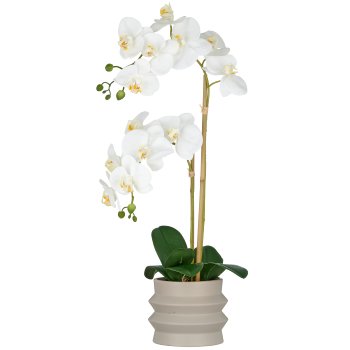 Phalaenopsis x2, 60cm, weiß, im Keramiktopf 14x13cm sand, Real Touch