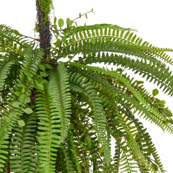 Fern pendant x3, approx. 120cm, green, plastic