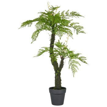 Tree fern x2 on moss stem, approx. 80cm, green, in plastic pot 13.5x13cm