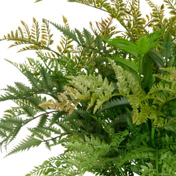 Fern bush XL, approx. 60x Ø70cm, green, in plastic pot 18x14cm, UV-resistant