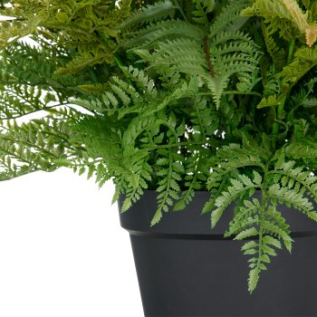 Fern bush XXL, approx. 70x Ø80cm, green, in plastic pot 24x21cm, UV-resistant