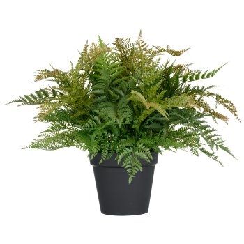 Fern bush XXL, approx. 70x Ø80cm, green, in plastic pot 24x21cm, UV-resistant