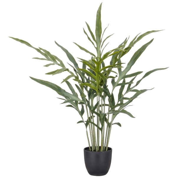 Phlebodium aureum Farn, 70x25cm, grn, im Kunststofftopf 11,5x10cm -  Kunstblumen, Kunstpflanzen & Deko | Grohandel GASPER