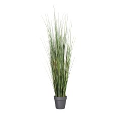 Equisetum Grass, ca. 95cm, plastic, in pot 13x11.5cm