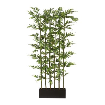 Bambusraumteiler x5, ca 165cm, 1320 Bl., Naturstamm, grün, Holzkasten 50x12x18cm schwarz