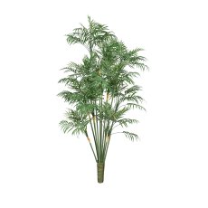 Indoor Palm x9, 90 cm,