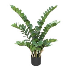 Zamifolia x9, 90cm, 166 Bl., im Topf