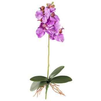 Phalaenopsis x 7, ca 40cm, lila, 4 Blätter