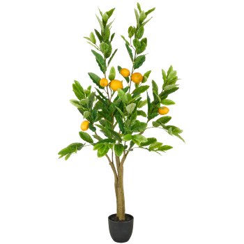 Zitronenbaum x6, 120cm, 174 Bl., im Topf