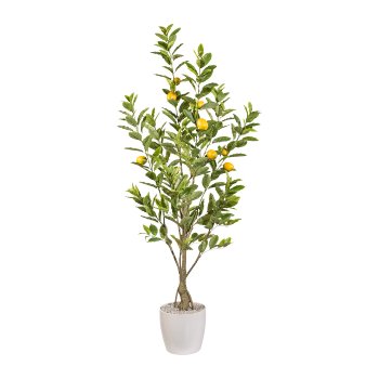 Zitronenbaum x9, 180cm, 357 Bl., im Topf
