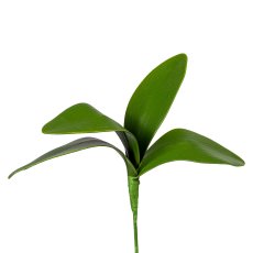 Orchideenlaub x4, ca 20cm, grün