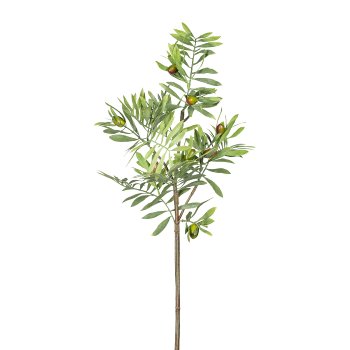 Olive Branch x8, ca. 70 cm, 7