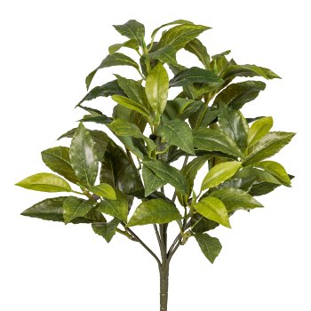 Spice Laurel x7, ca. 36 cm, 68
