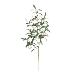 Olivenzweig x6, ca 100cm, 16 Früchte