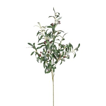 Olive Branch x10, ca. 100 cm ,