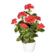 Geranium bush x7, approx 40cm, red, 26 flowers, material UV-resistant, in ceramic pot