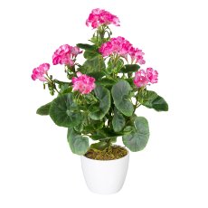 Geranium bush x7, approx 40cm, red, 26 flowers, material UV-resistant, in ceramic pot