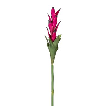Curcuma Flower, ca. 65 cm,