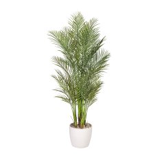 Areca Palm x6, ca. 160cm green, Plastic, In Pot