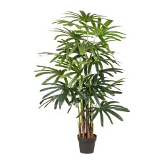 Rapi Palm x7, ca. 155cm, green, In A Simple Plastic Pot, Real Touch
