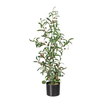 Olive, ca. 85 cm, Green, In