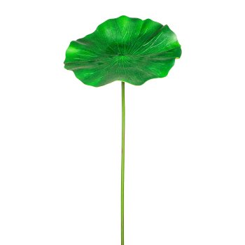Lotusblatt Gig.,ca 47x100cm, EVA, grün
