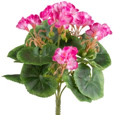 Minigeranie x7, ca 24cm, 5 Blüten, pink, UV-beständig