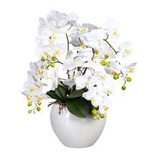 Phalaenopsis, 56cm, weiß, im Keramiktopf weiß Ø24x20cm, Real Touch