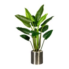 Philodendron x12, ca. 130cm Green, In Pot 17x15cm, with Soil, Pu, Plastic Leaves