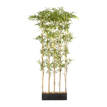 Bambusraumteiler x10, ca 160cm, grün, 1620 KSt.-Bl.,UV-best., Naturstamm,