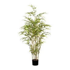 Bambus x7, ca 130cm, grün, 1080 KSt.-Bl., UV-best., Naturstamm, im Kunststofftopf